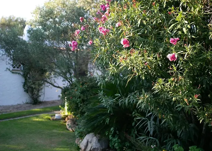 Costa Smeralda - Private With Pool, Beautiful Garden, Total Privacy Villa Cugnana