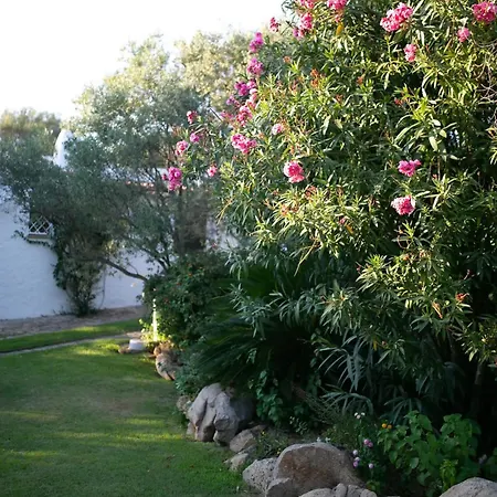 Costa Smeralda - Private With Pool, Beautiful Garden, Total Privacy ヴィラ クニャナ