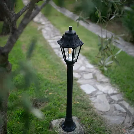Costa Smeralda - Private With Pool, Beautiful Garden, Total Privacy ヴィラ クニャナ