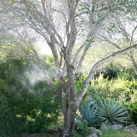 ヴィラ Costa Smeralda - Private With Pool, Beautiful Garden, Total Privacy *